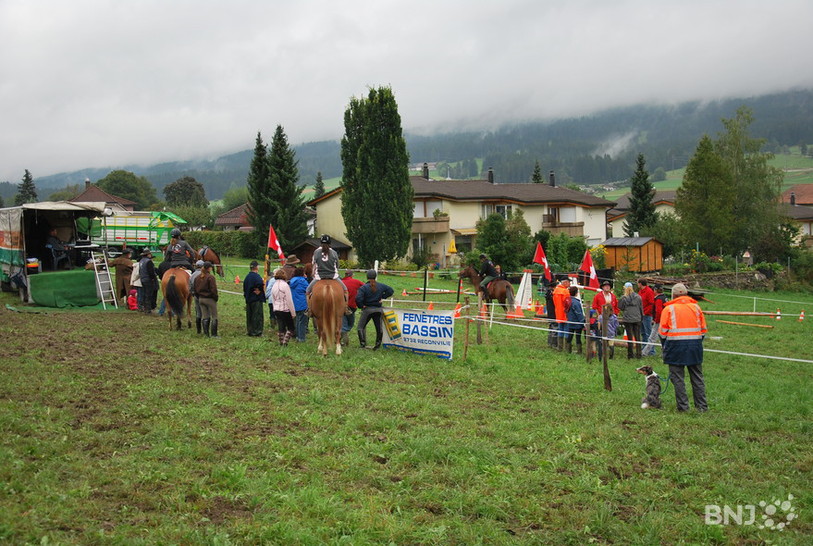 Le concours de gymkhana chevalin de la Foire de Chaindon.