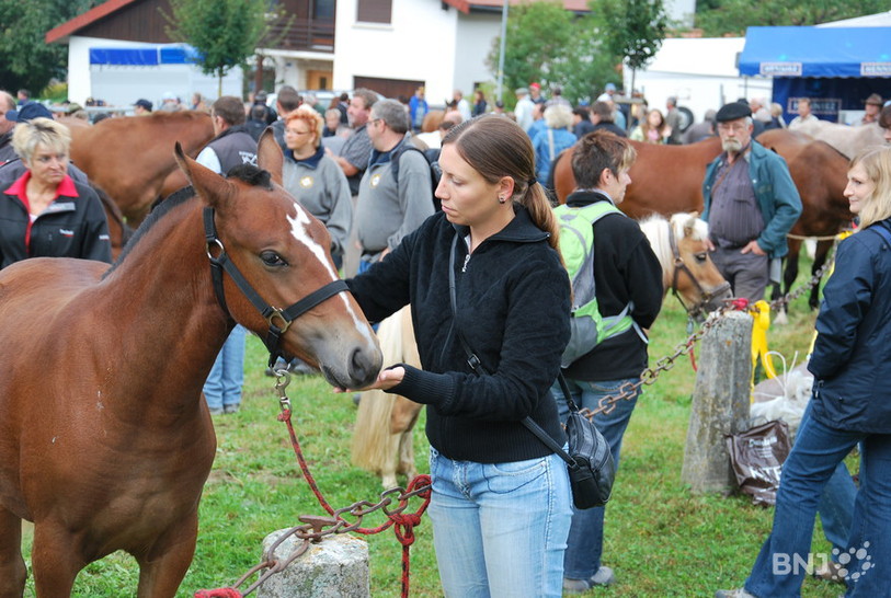 Foire de Chaindon 2012