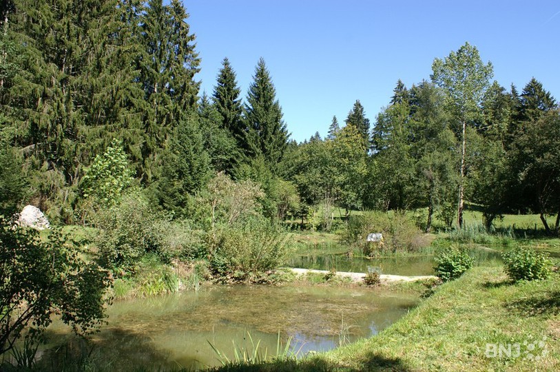 Réserve de Malleray