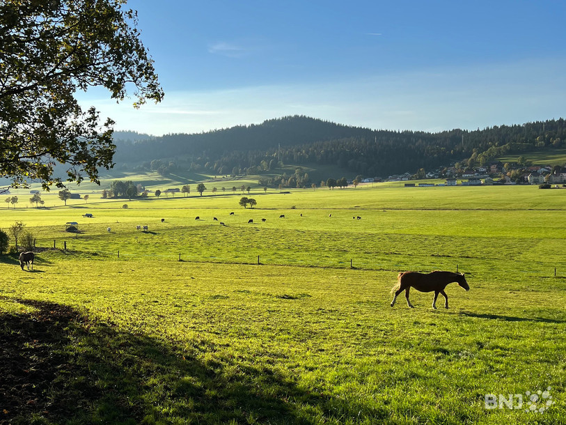 La Vallée de la Sagne veut valoriser son agriculture. (Image d'illustration).