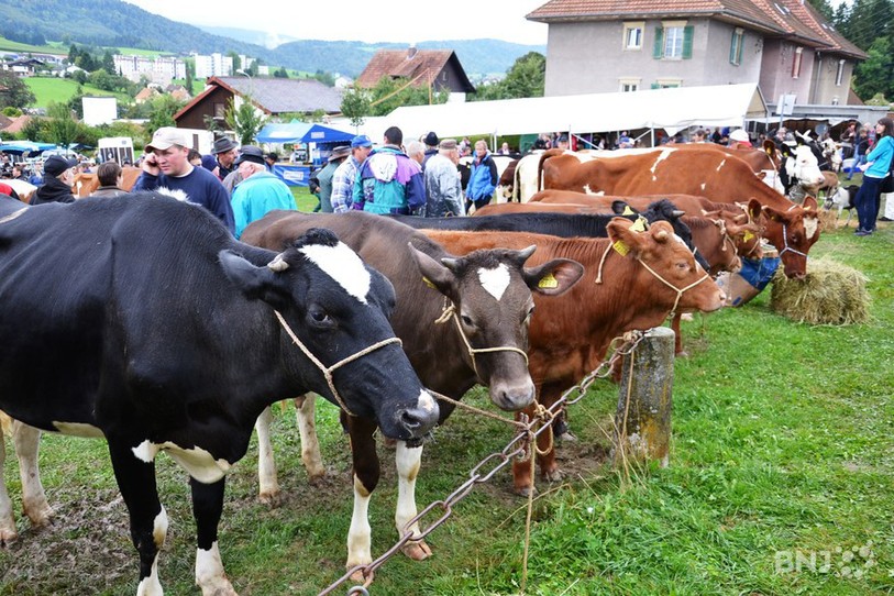 Foire de Chaindon