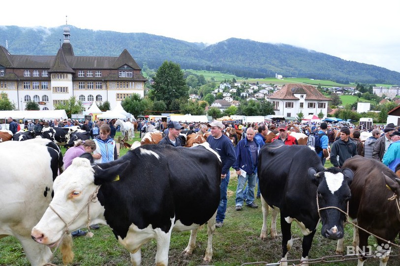 Foire de Chaindon 2011