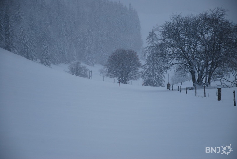 neige