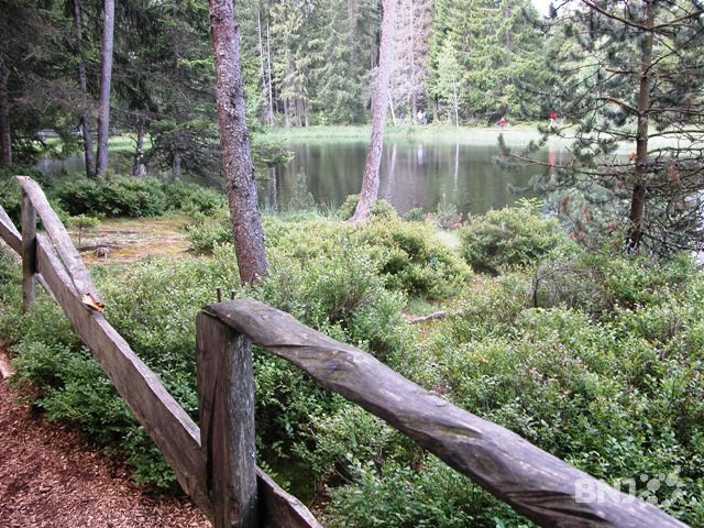 Gruère
