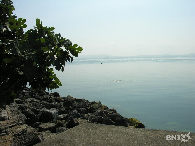 Le lac de Neuchâtel