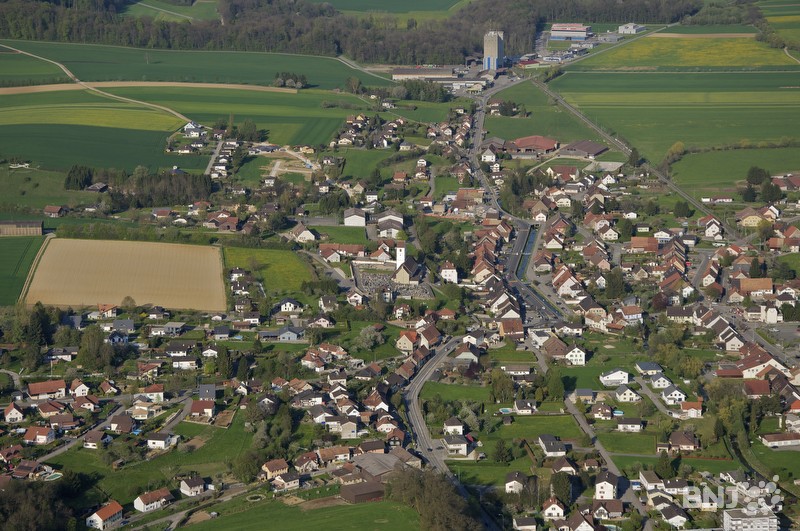 Alle