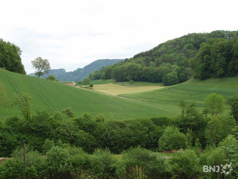 Les bourgeoisies du Jura et Jura bernois se reforment