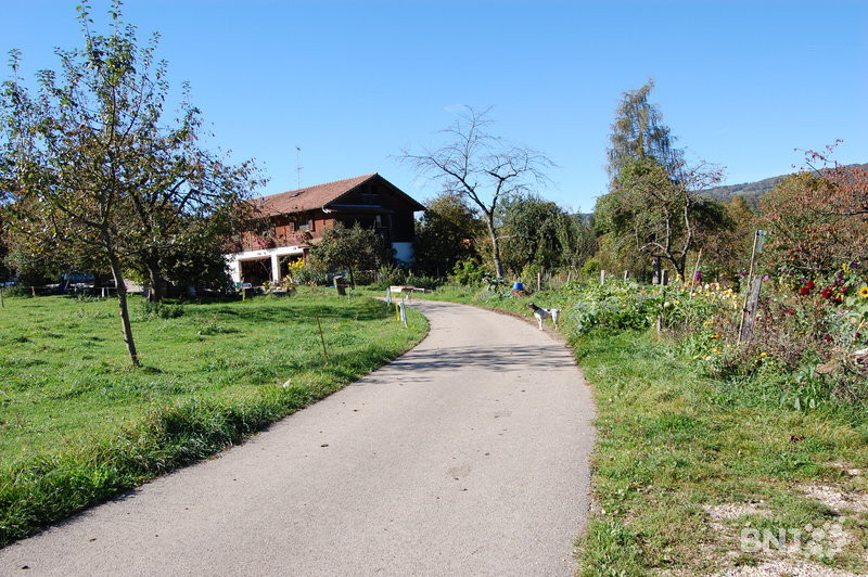 Biodiversité