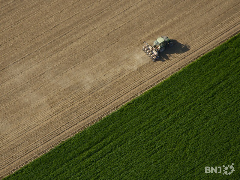 agriculture