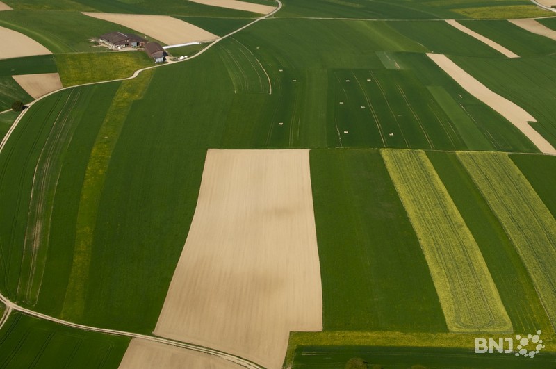 agriculture