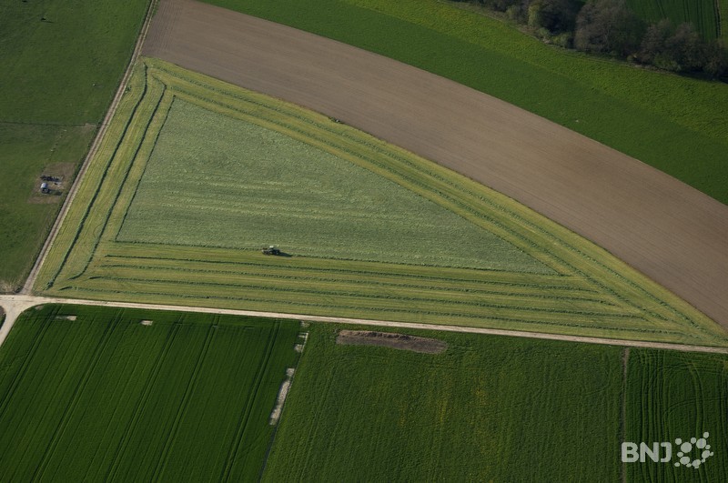 Vue aérienne de champs