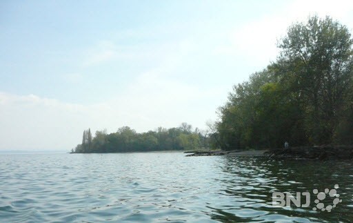 Une panne à la step est à l'origine de la pollution dans le lac de Morat.