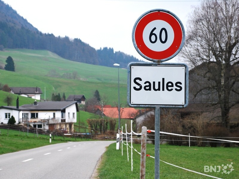 Saules