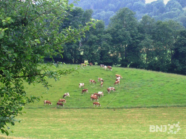 Agriculture