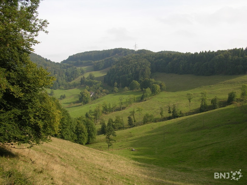 Paysage