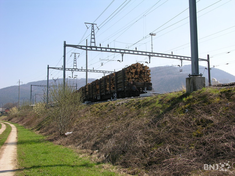 Transport de bois