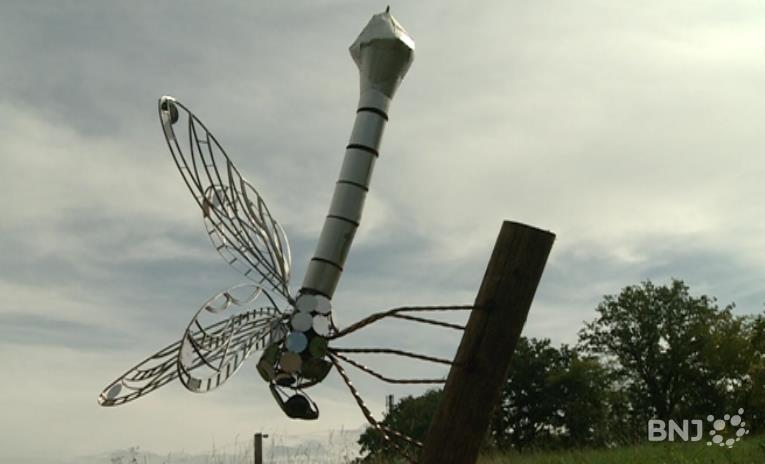 Libellule de Javier Puertas