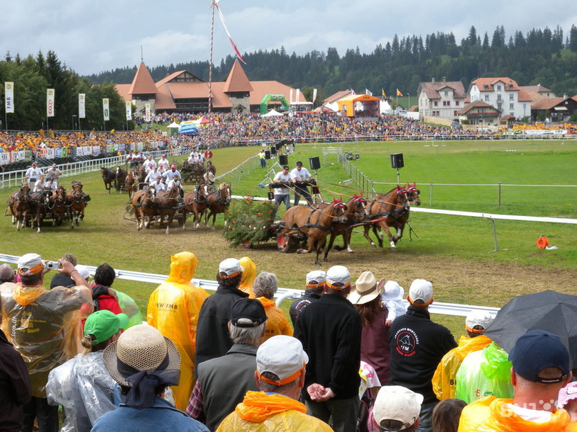Course de chars au Marché-Concours