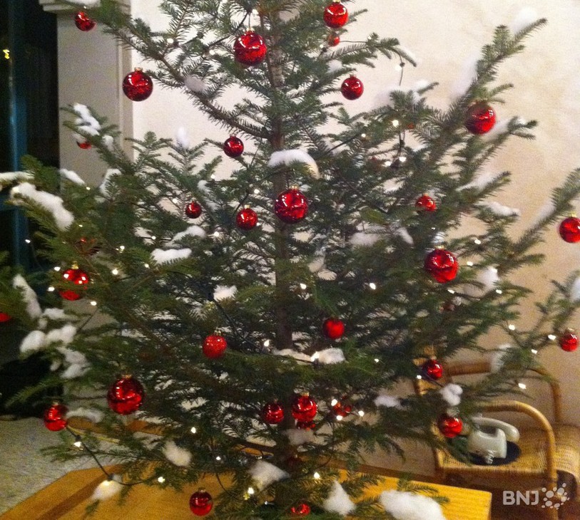 Sapin de Noël
