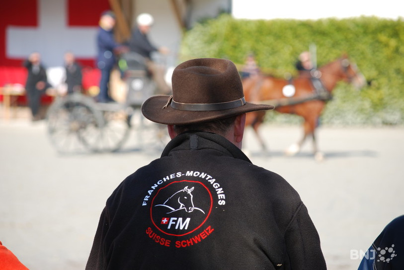 Logo cheval Franches-Montagnes