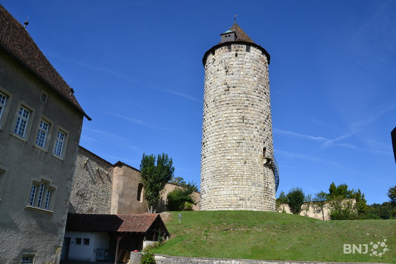Le prévenu n'a pas échappé à la prison
