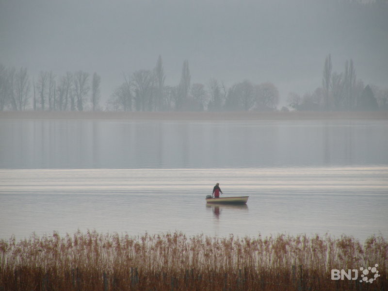 Des traces de césium 137 ont été retrouvées dans le lac de Bienne 