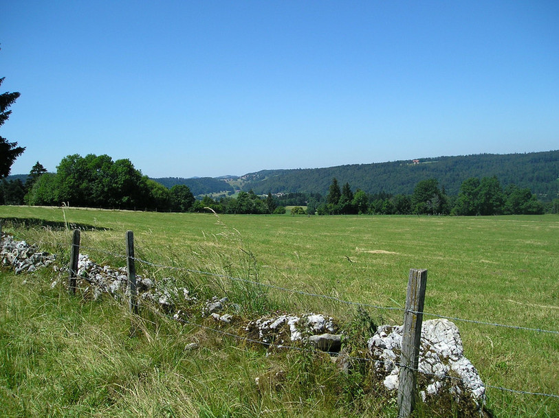 Vue d'un mur de pierres sèches