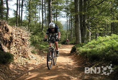 VTT en forêt