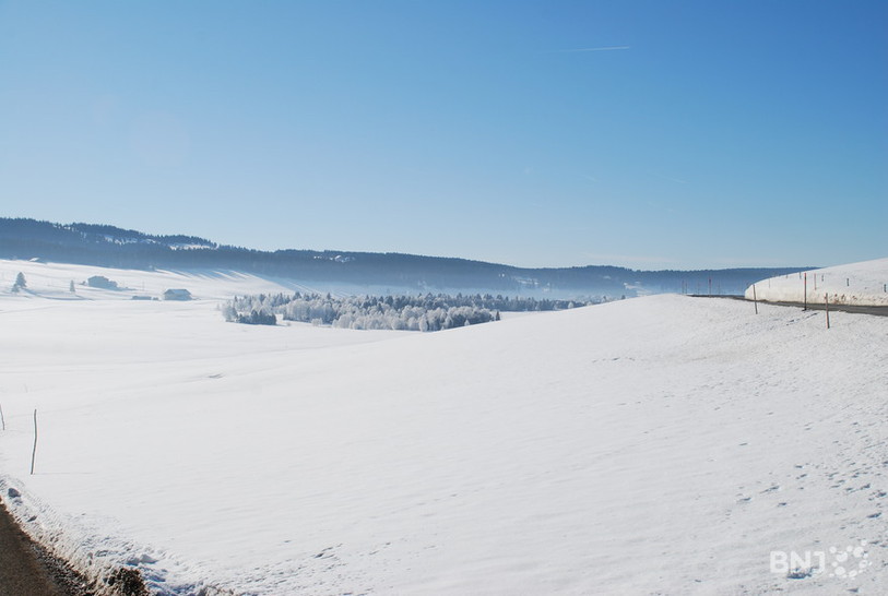 Matin frisquet, dans la Vallée de La Brévine.
