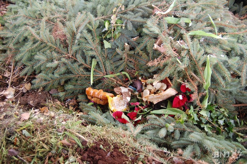 Déchets verts, compost