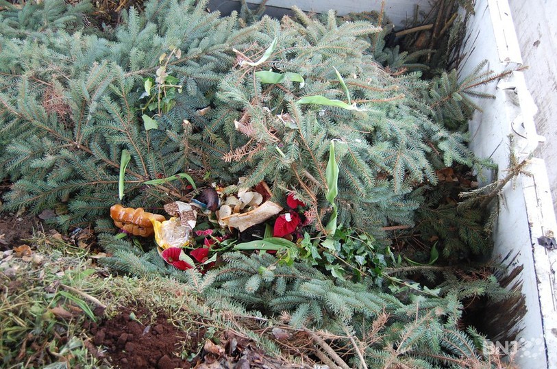 Déchets verts, compost