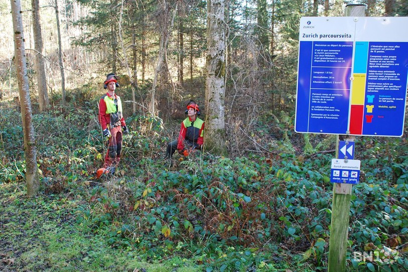La forêt de la Joux Pélichet va subir une cure d'amaigrissement