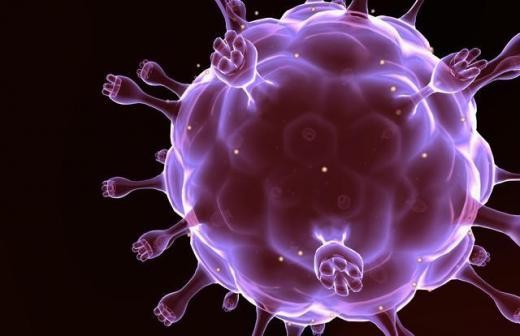 Le virus du sida