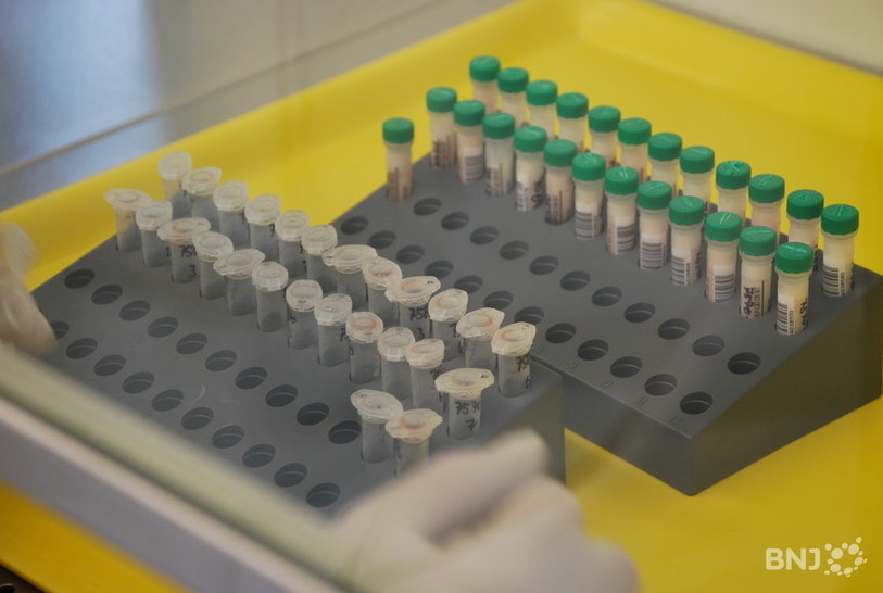 laboratoire analyses