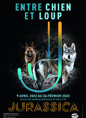 Nuit et Journée des Musées