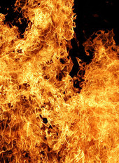 Feu