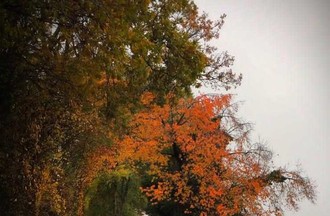 Photo du défi