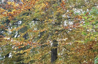 Photo du défi