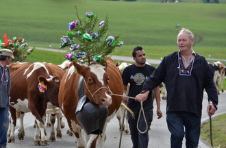 Désalpe du Boéchet 2012