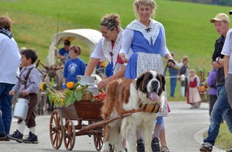 Désalpe du Boéchet 2012