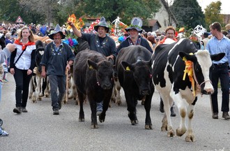 Désalpe du Boéchet 2012