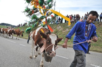 Désalpe du Boéchet 2012