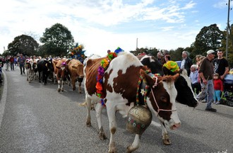 Désalpe du Boéchet 2012