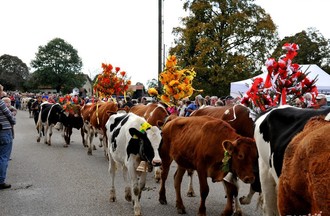Désalpe du Boéchet 2012