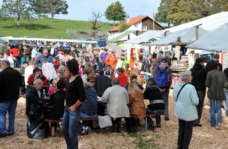 Désalpe du Boéchet 2012
