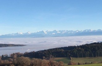 Photo du défi 