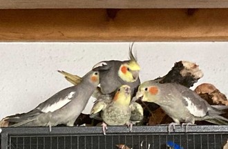 Photo du défi