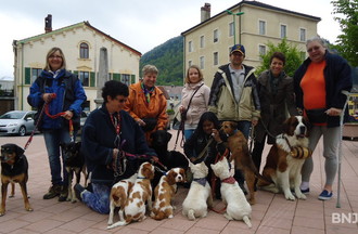 Les membres de l'association le copain qui vont dans les homes avec tous ces chiens