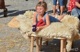 Description de l'image