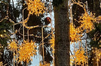 Photo du défi